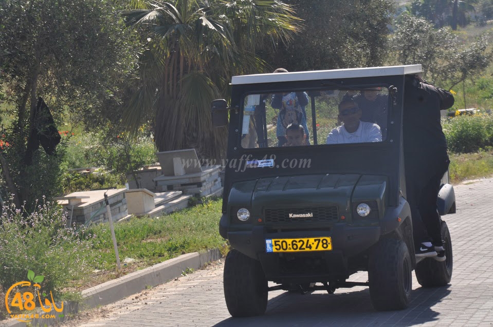 tasohamlalanjna (16).jpg